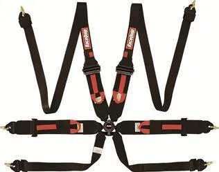 RaceQuip Camlock 6-Point HANS/HNR Harness - 2" Lap/Shoulder - Pull Down Lap - Black - FIA 8853-2016