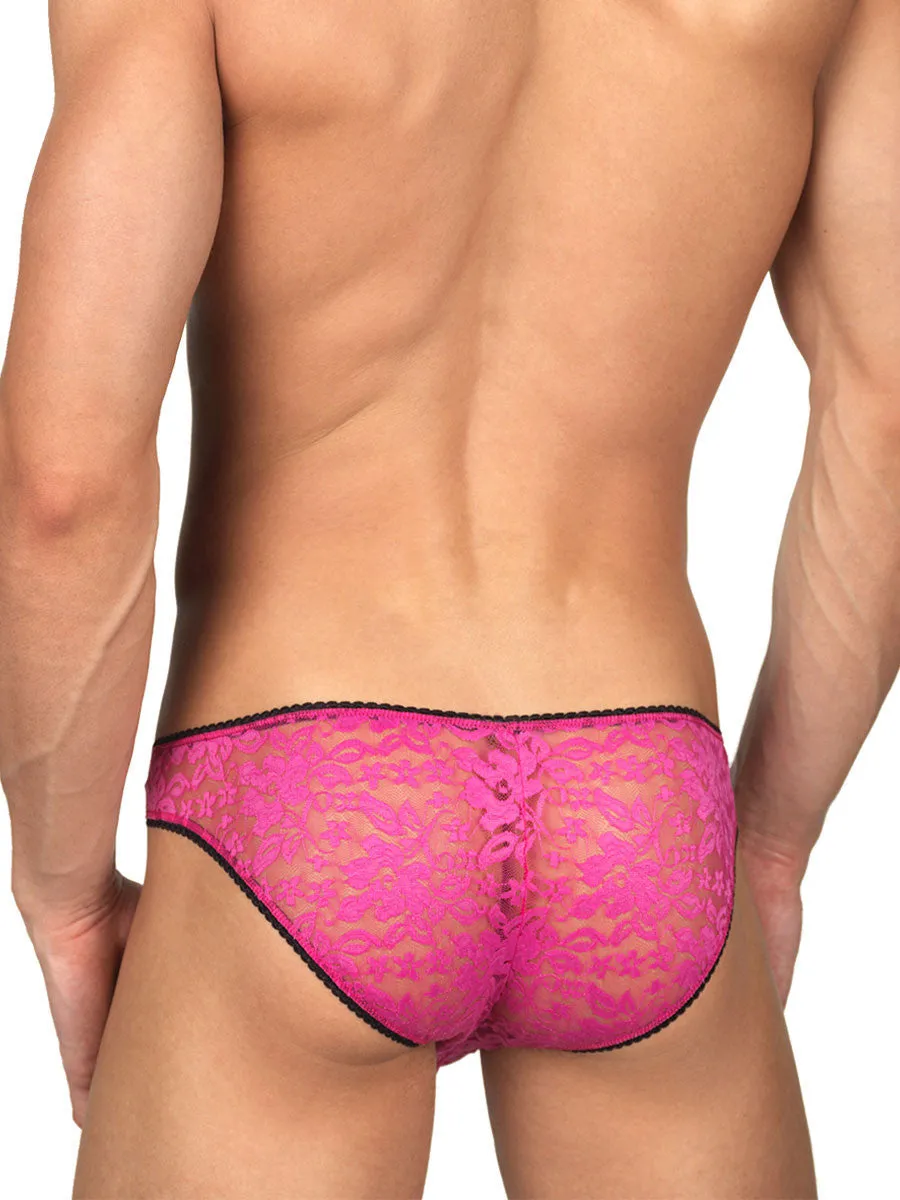 Ray of Sunshine Brief