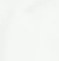 Santiago Cotton Stretch Shorts